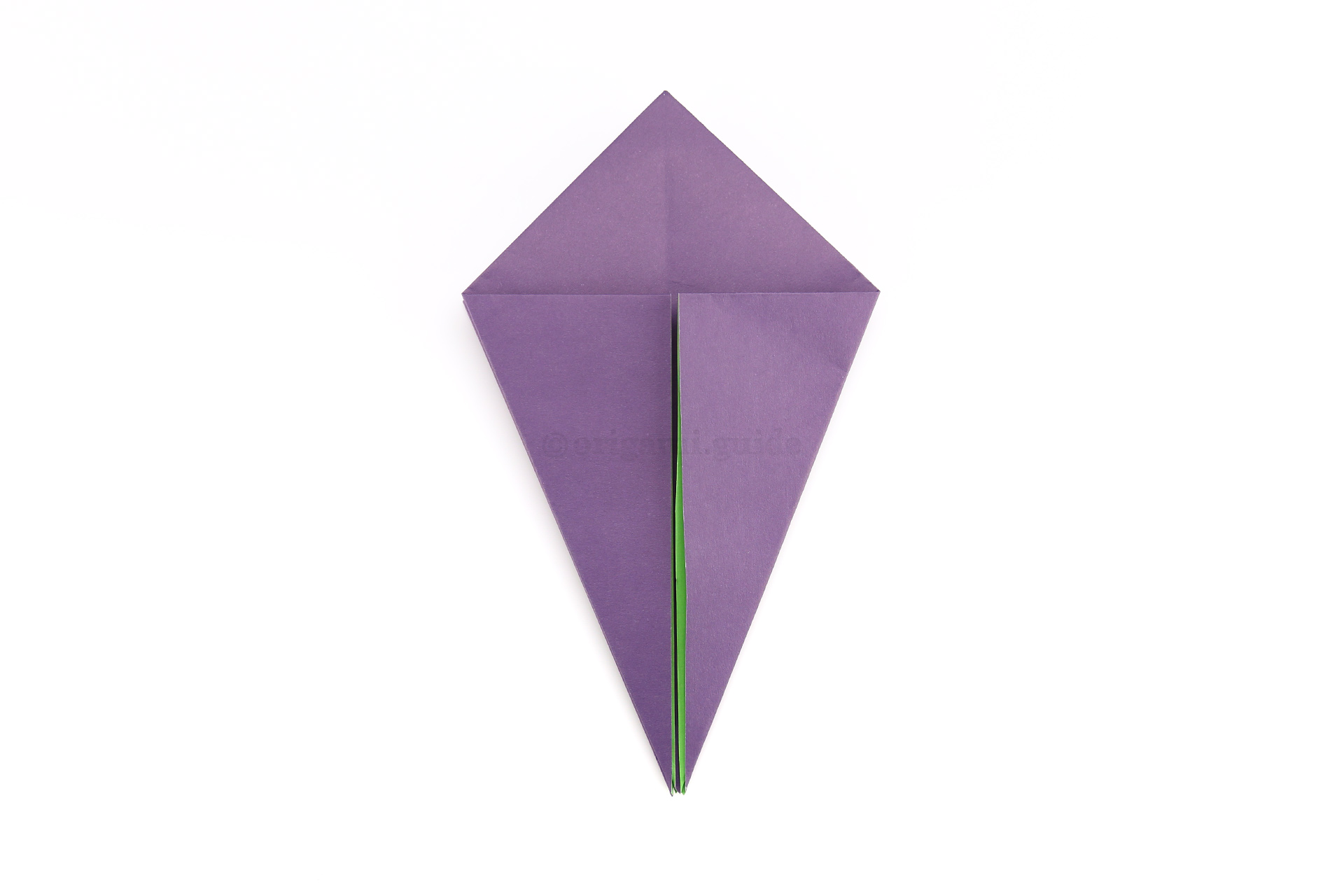 Fold the lower left and right diagonal edges to the central crease the same as you did on the other side.