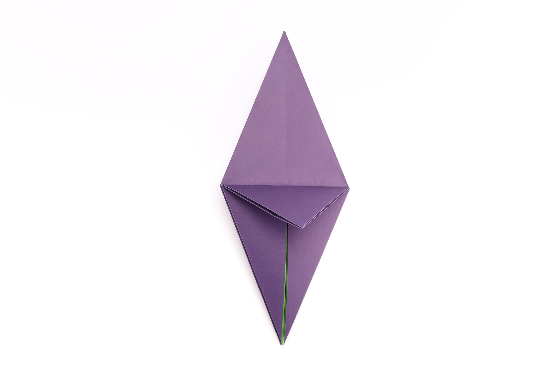 Refold the triangular flap back down.
