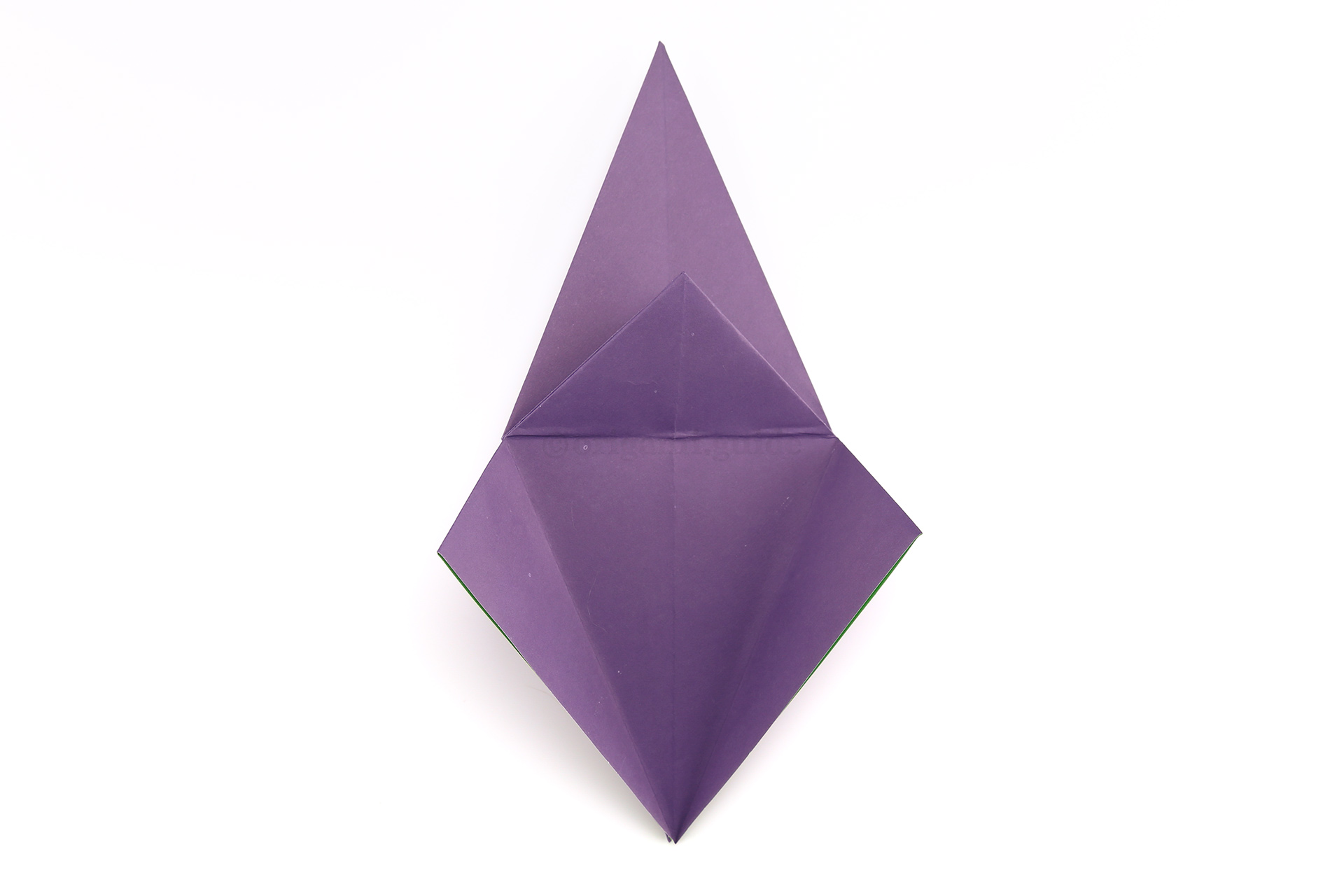 Unfold the triangular flap back up and unfold the left and right flaps.