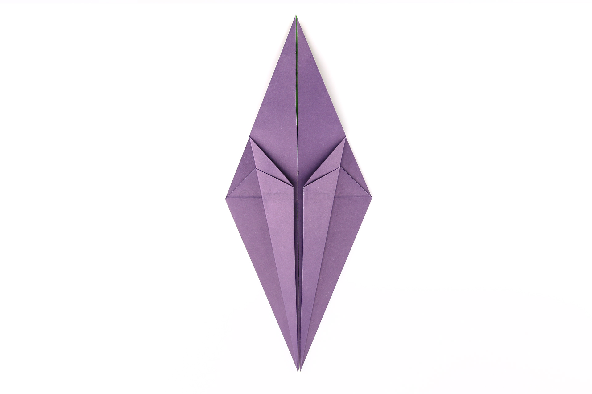 Fold the lower left and right diagonal edges in to meet the central crease.