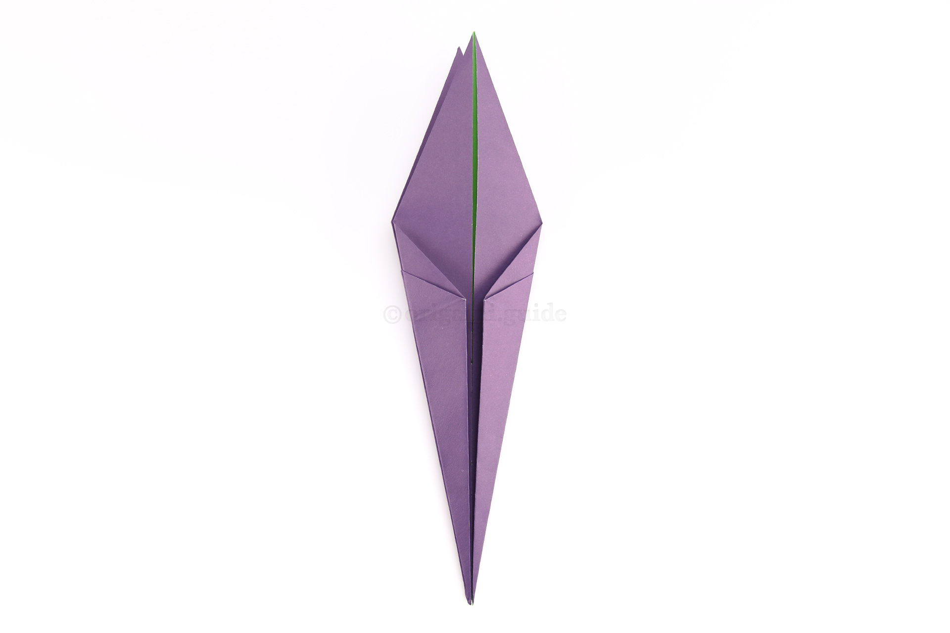 Fold the lower left and right diagonal edges in to meet the central crease.