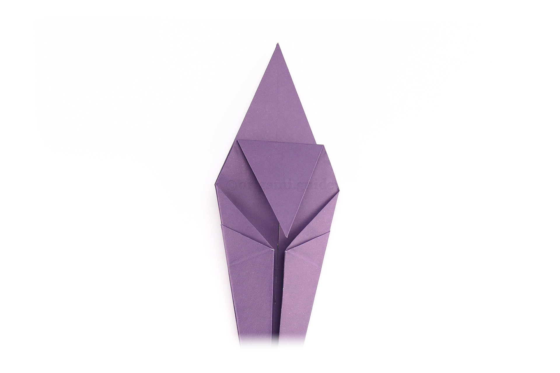 Fold the top point down to meet the corners of the front flaps as shown.