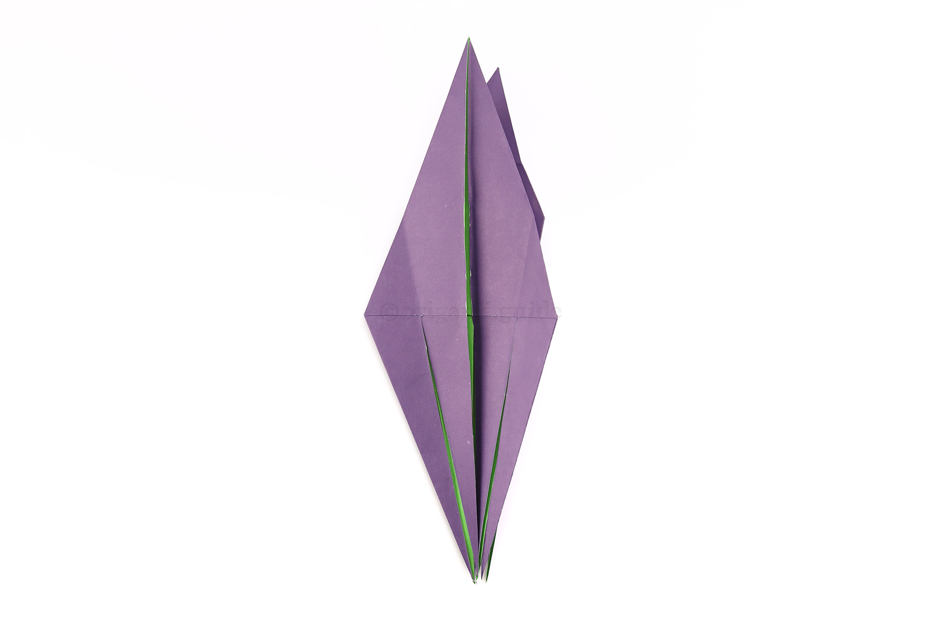 Flip the model over to the other side.