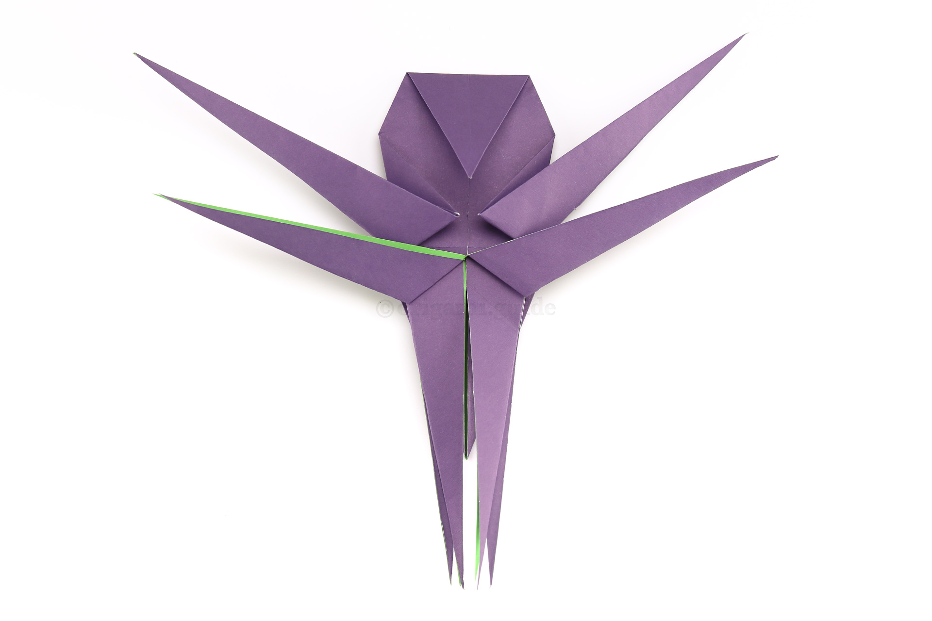 Next lift two layers of paper up and fold them diagonally outwards to make the second set of legs.