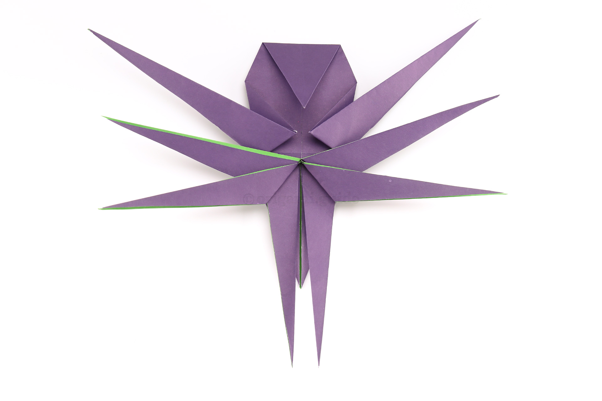 Again lift two layers of paper up and fold them diagonally outwards to make the third set of legs.