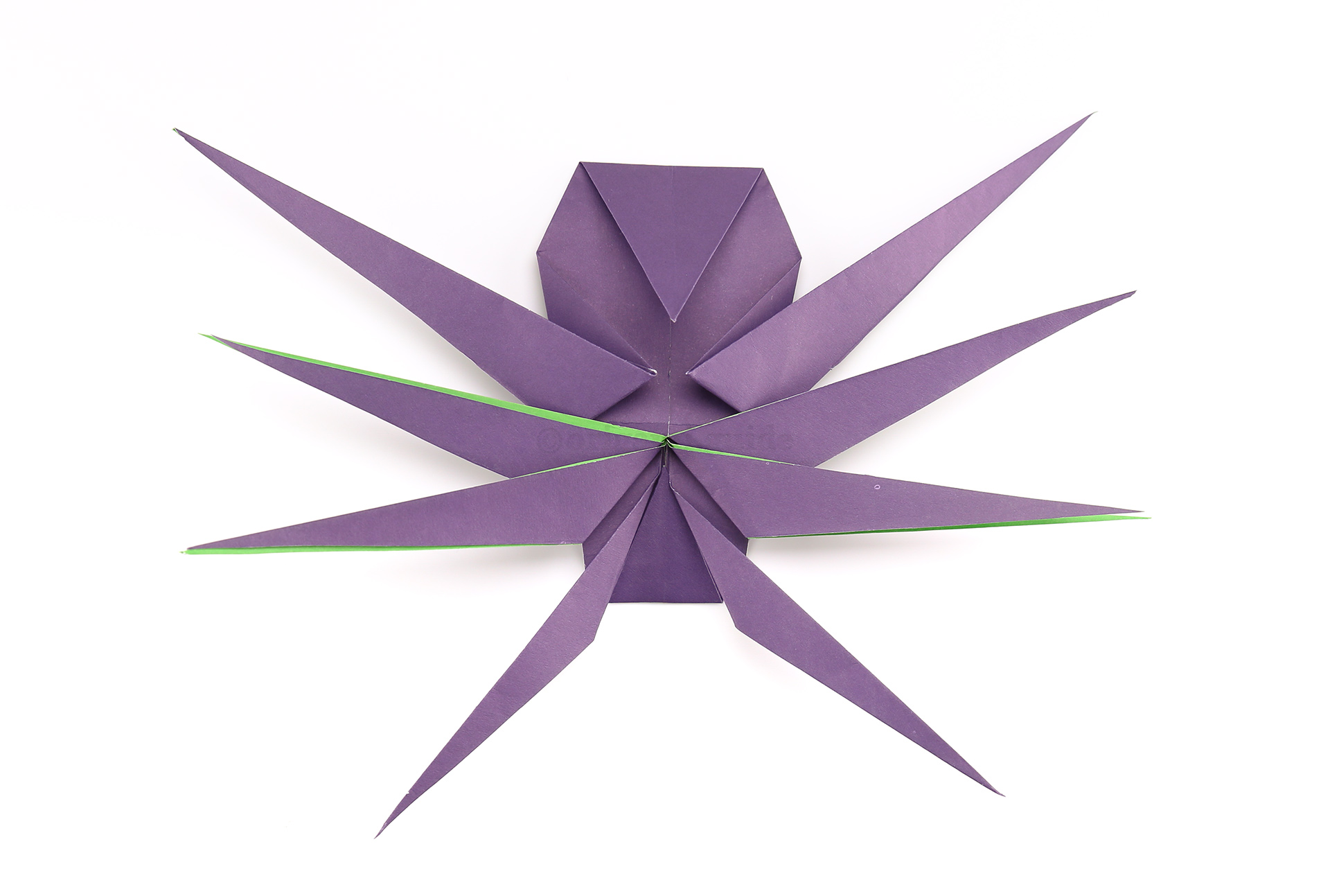 Fold the final set of legs outwards.