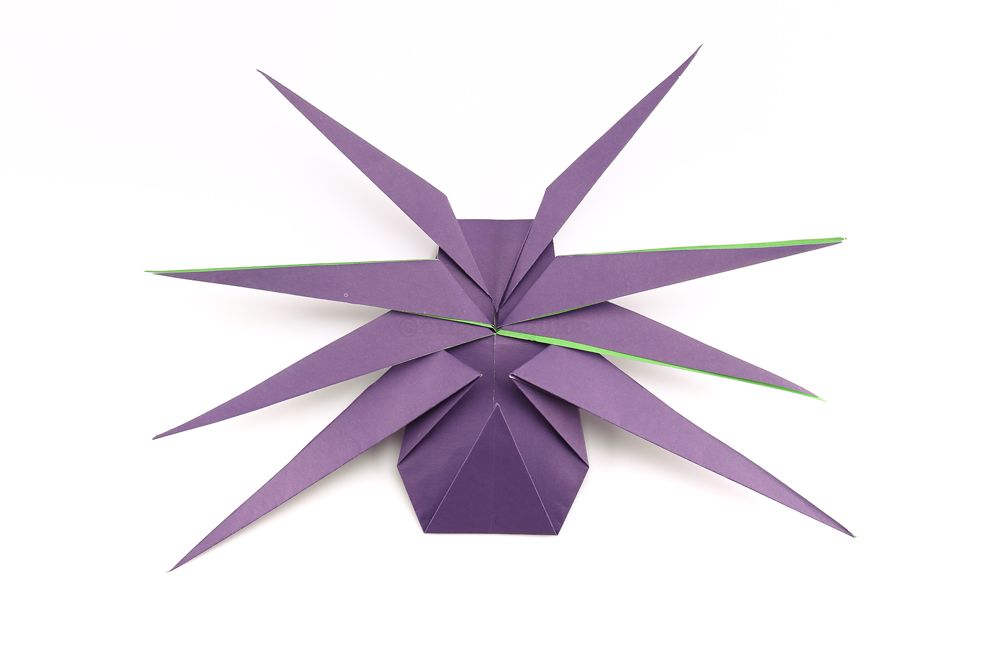 Let's rotate the origami spider so that the head is at the top.
