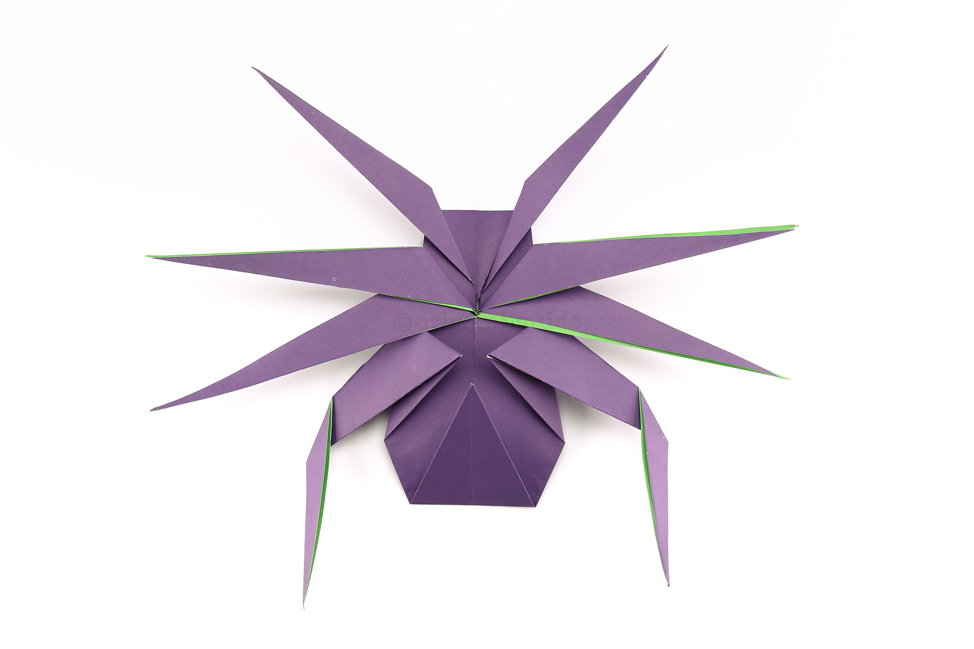 Create knee joints in the first set of legs by folding the legs downwards.