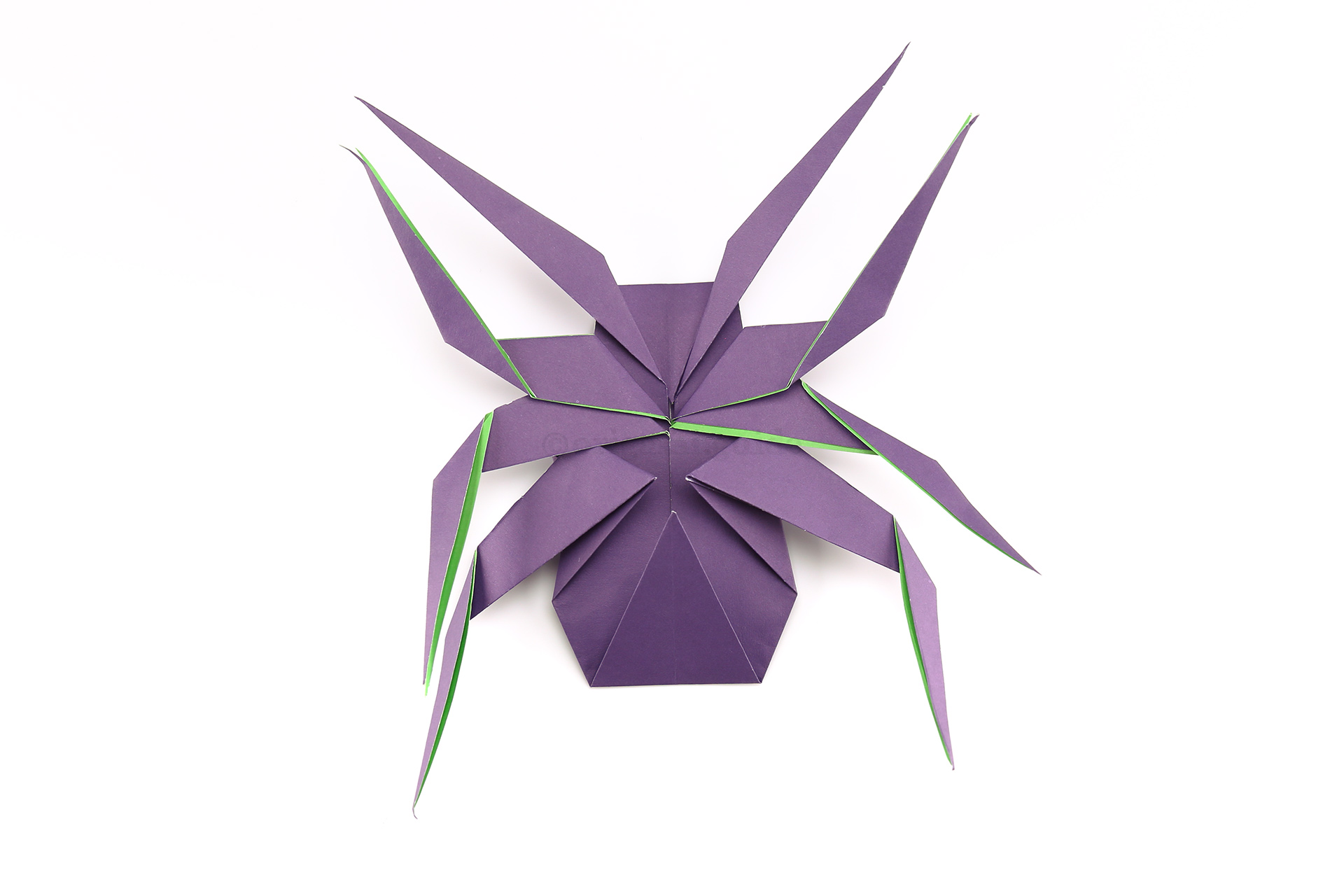 For the third set of legs, fold them upwards.