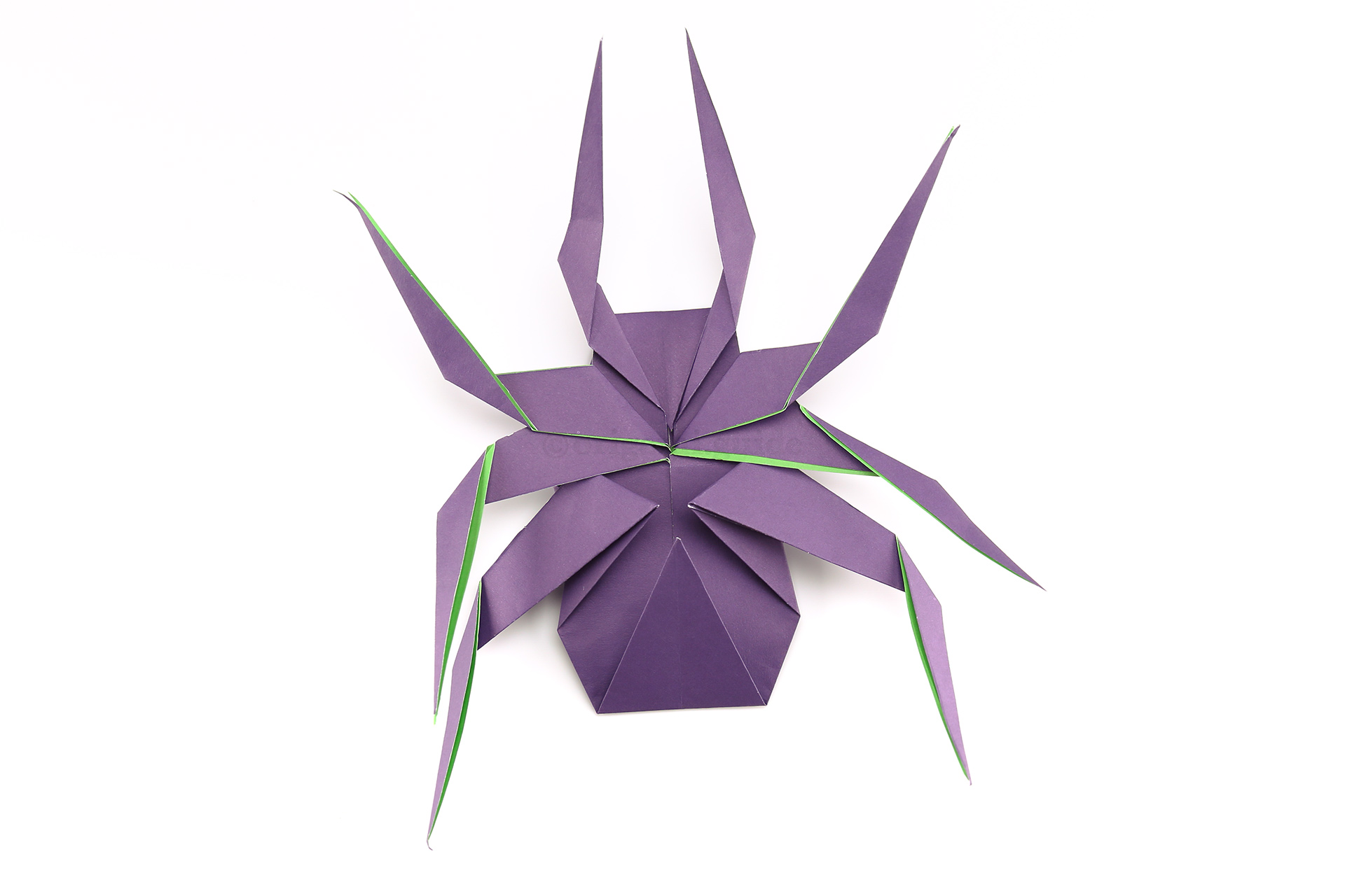 And finally fold the last set of legs upwards as well.