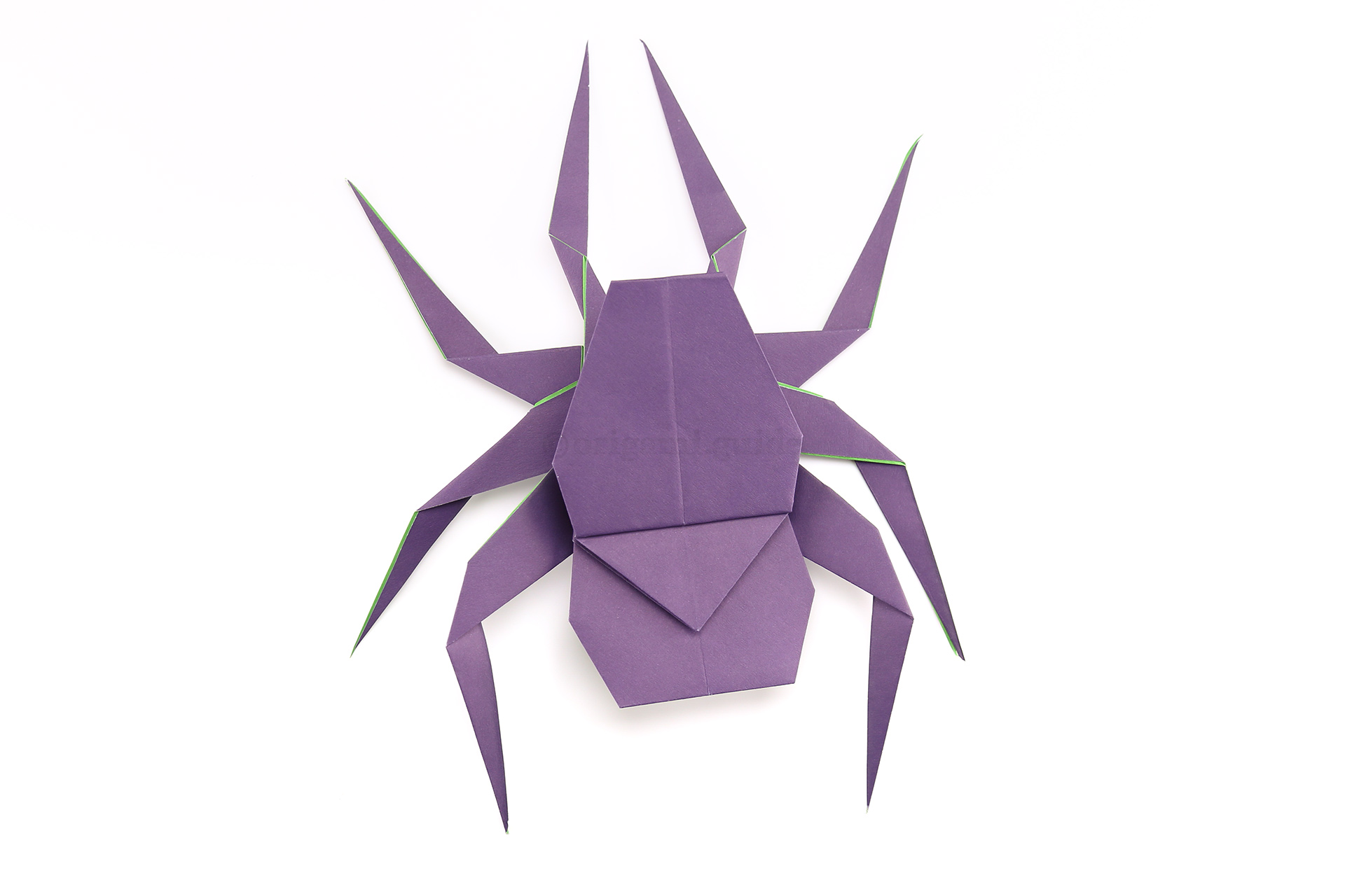 Flip the spider over to the other side.