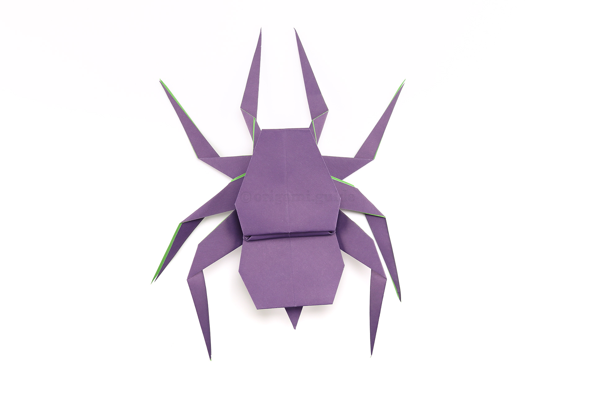 You can create a point for the spiders tail by folding the flap underneath.