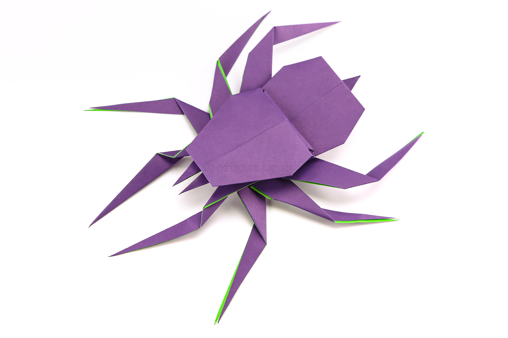 The origami spider is complete! You could also draw or stick on a pair of eyes.