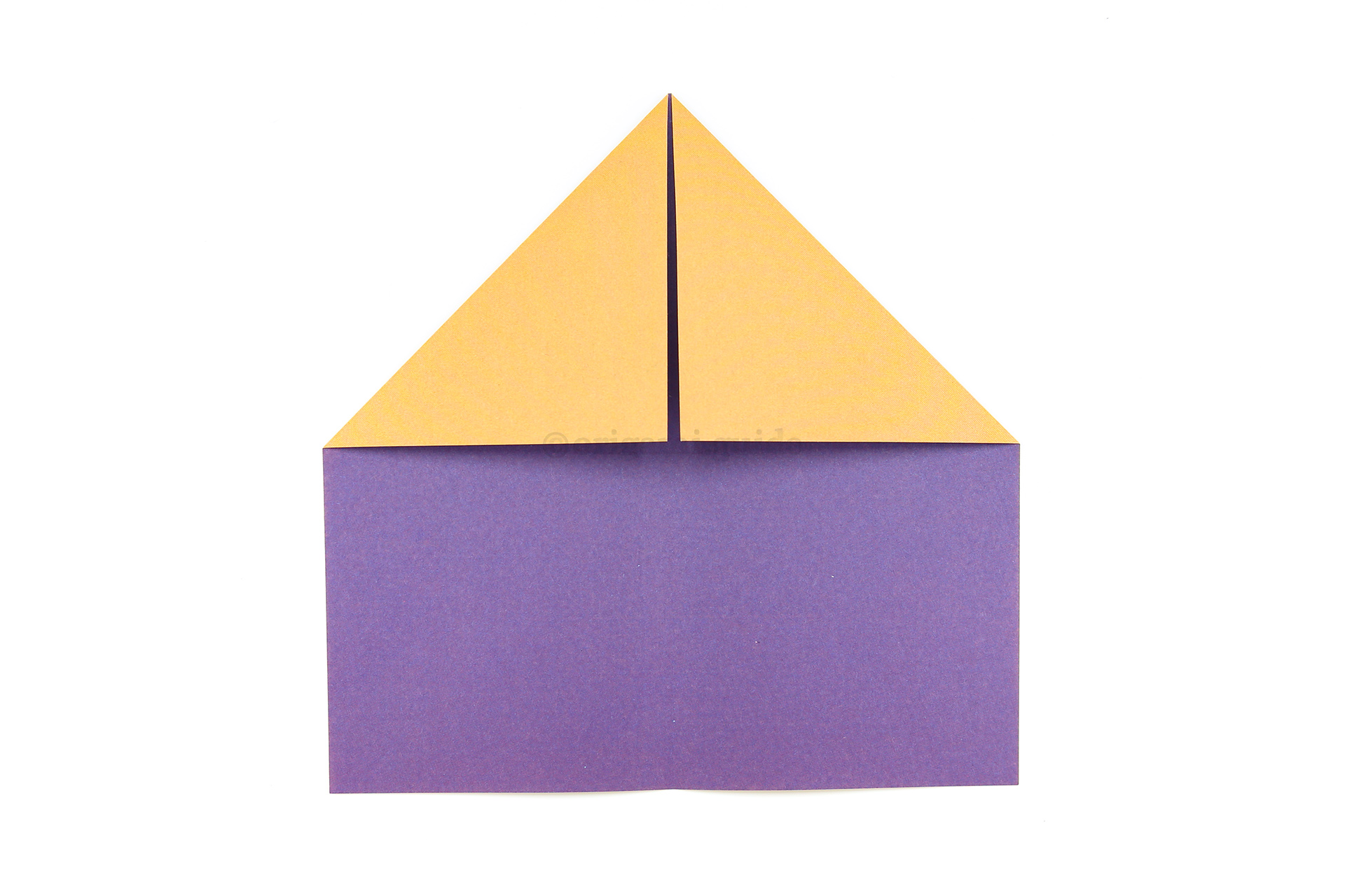 Step 5 - Fold the the top left and right corners diagonally down to meet in the center.
