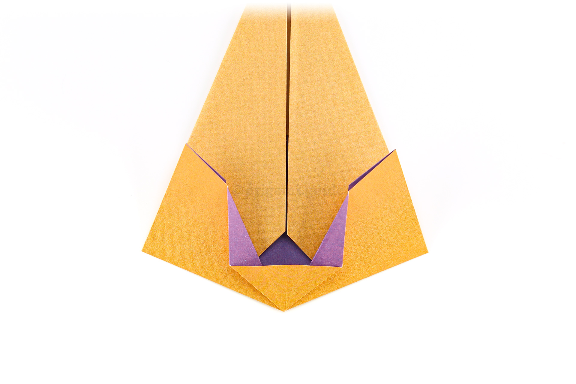 Step 17 - With the lower triangular flap like this, flatten both sides into this position.