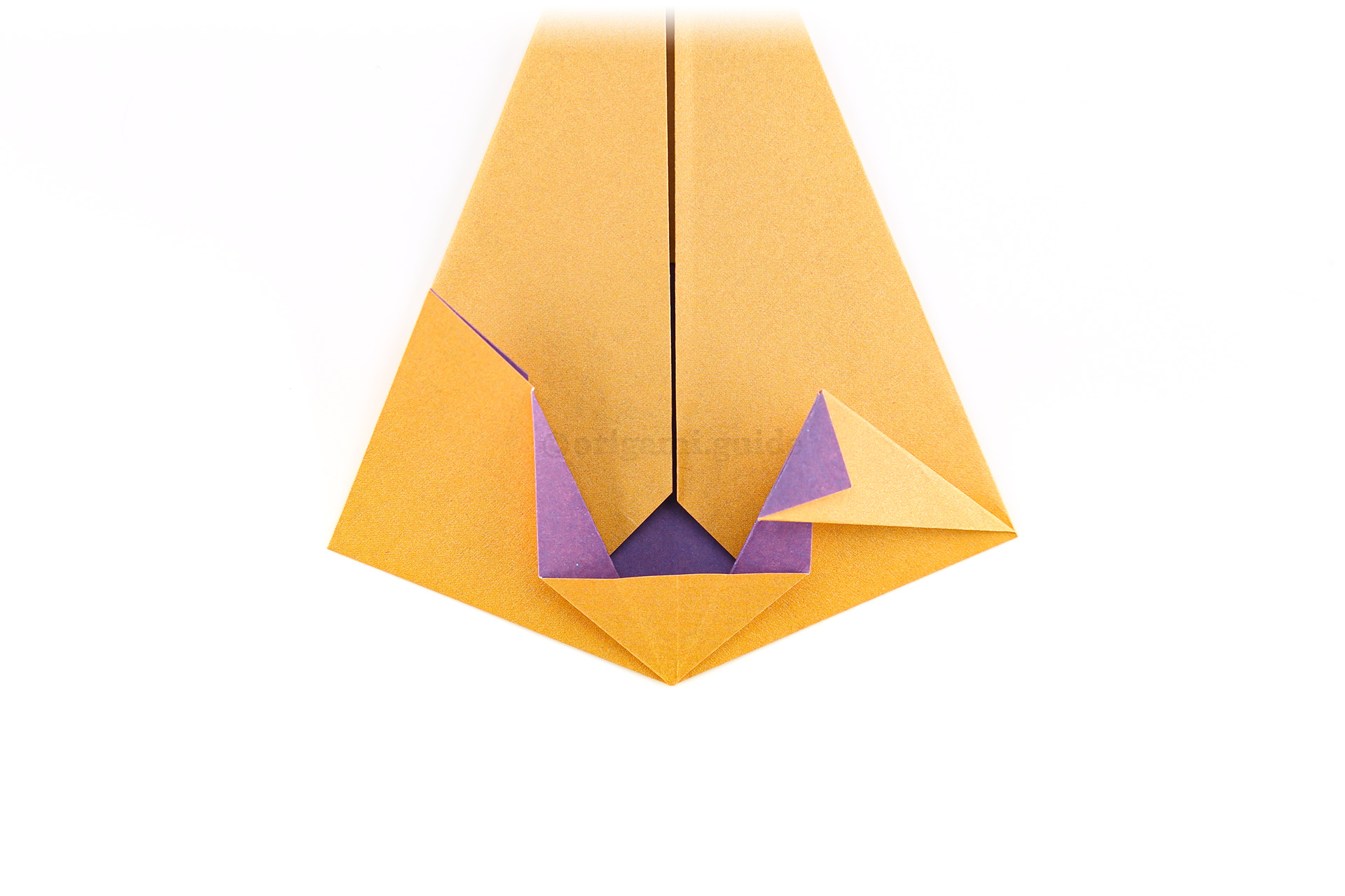 Step 18 - Fold the right flap down diagonally as shown.