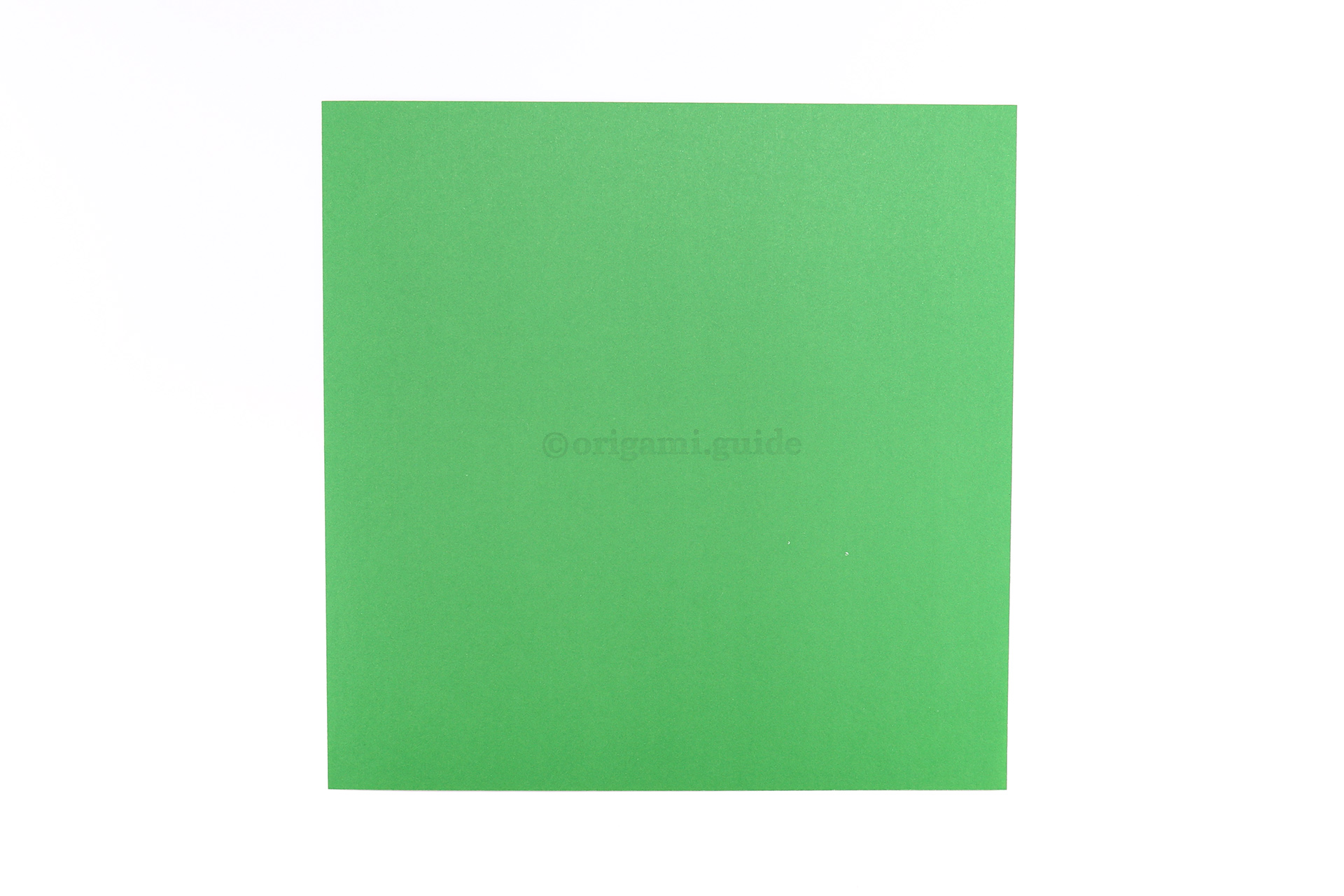 Step 1 - This is the front of our origami paper, this dark green color will be the final result.
